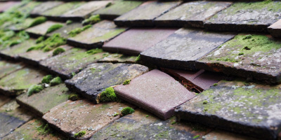 Felingwmuchaf roof repair costs
